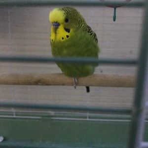 Meet your Posher, Zach